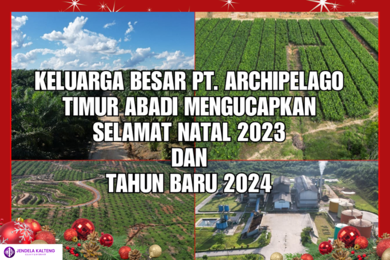 Happy Christmas ! (2)