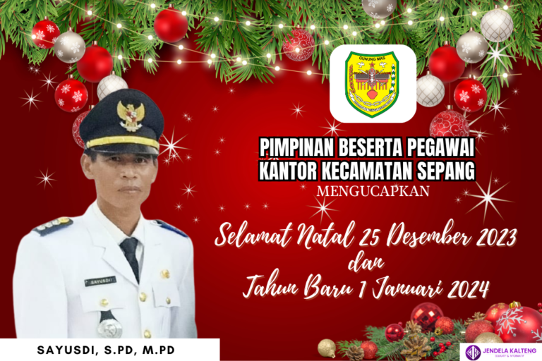 Happy Christmas ! (4)