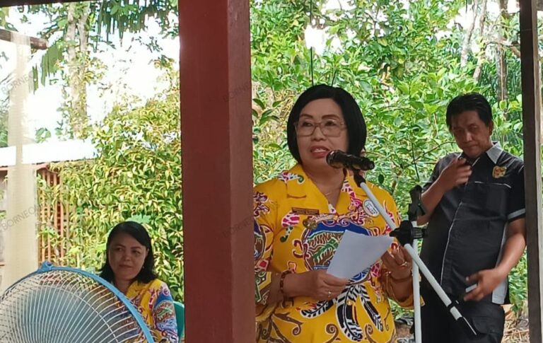 WhatsApp Image 2024-01-19 at 02.19.54