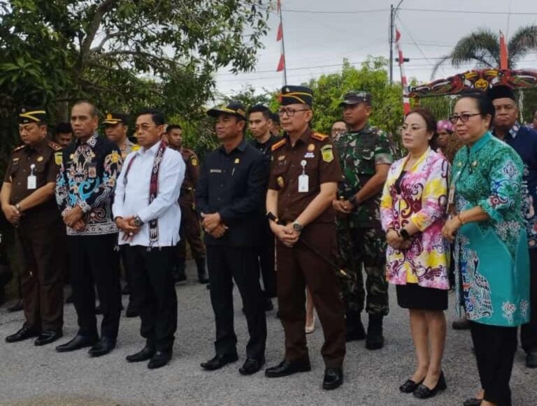 WhatsApp Image 2024-02-29 at 04.08.36