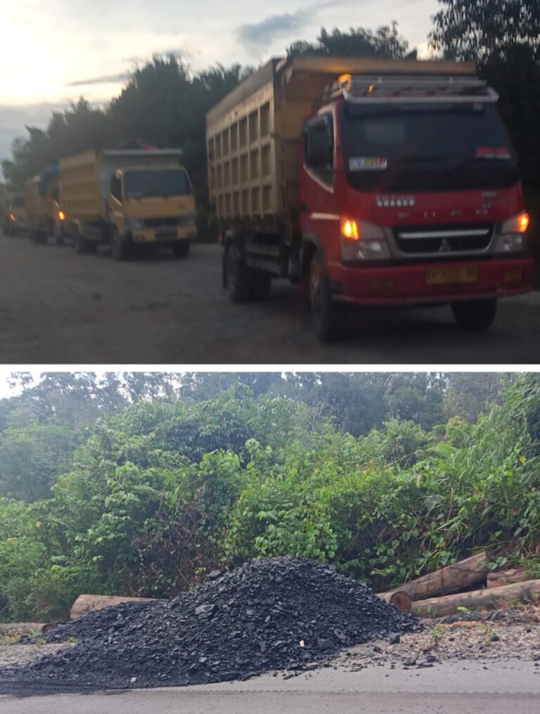 WhatsApp Image 2024-05-13 at 05.00.07