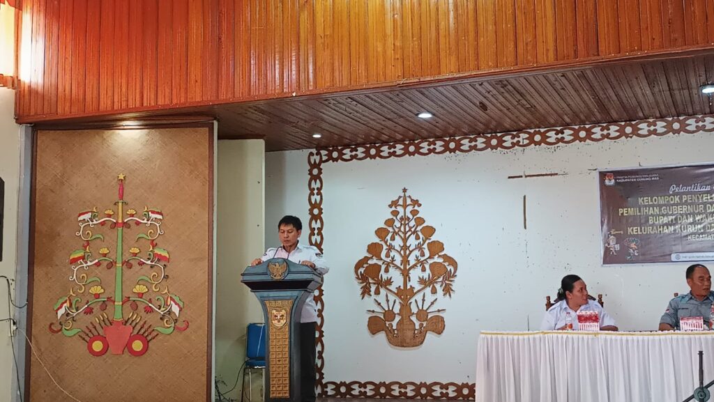 WhatsApp Image 2024-12-14 at 20.10.38