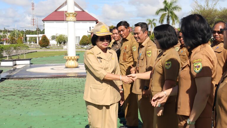 WhatsApp Image 2025-03-03 at 02.54.43