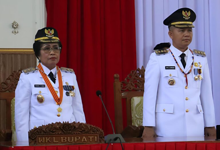 WhatsApp Image 2025-03-11 at 01.40.45