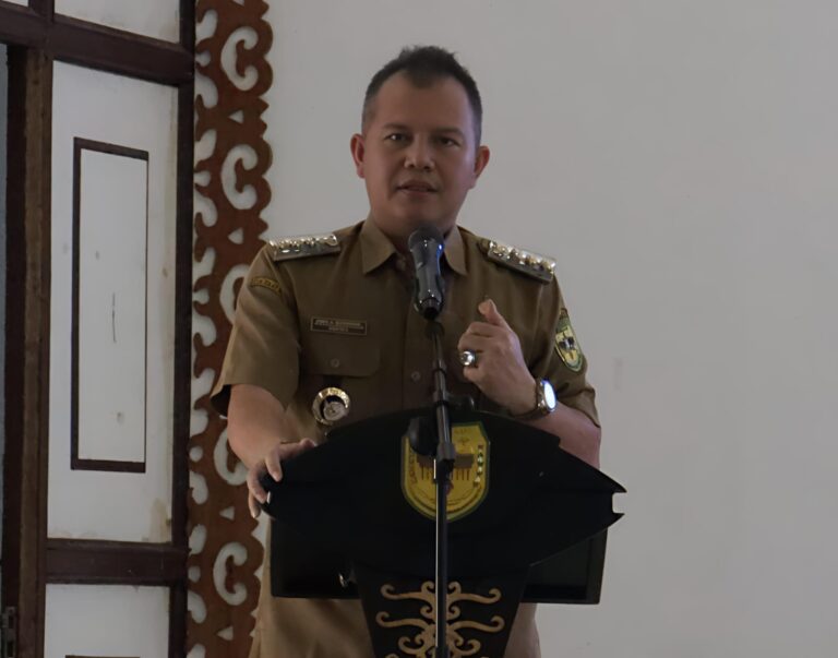 WhatsApp Image 2025-03-15 at 07.26.20