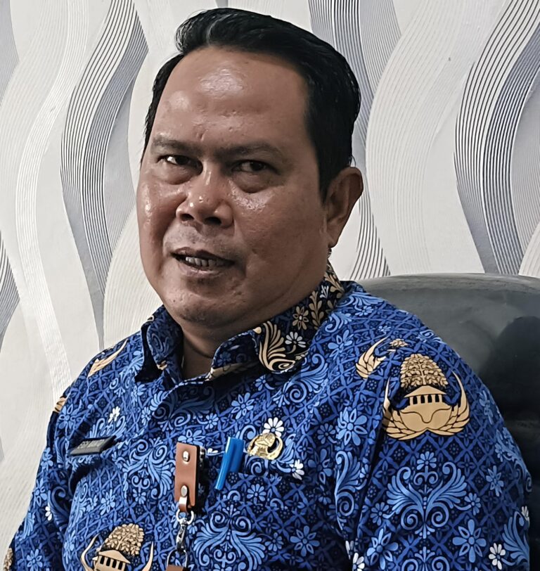 WhatsApp Image 2025-03-22 at 01.47.37