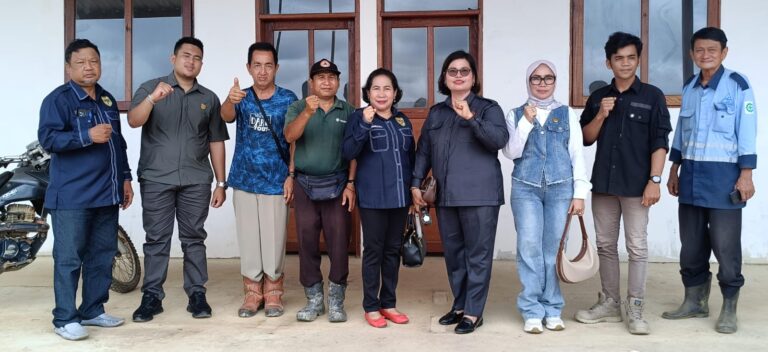 WhatsApp Image 2025-03-28 at 07.27.49