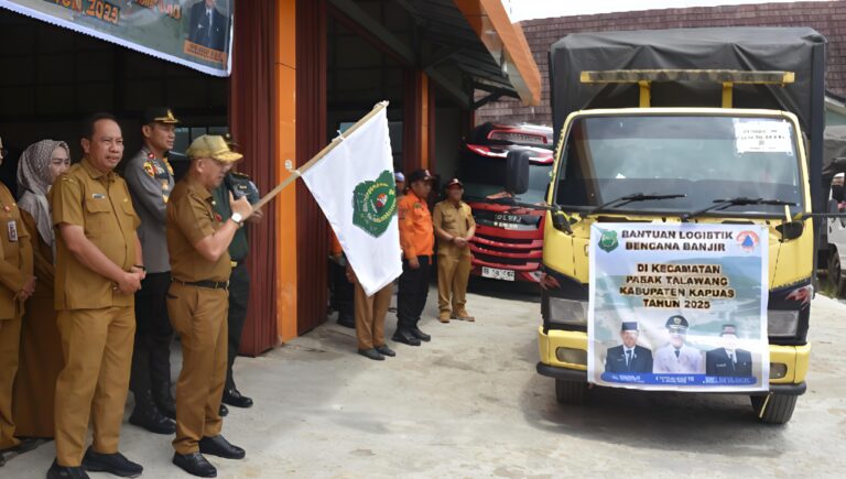 WhatsApp Image 2025-05-01 at 01.30.19