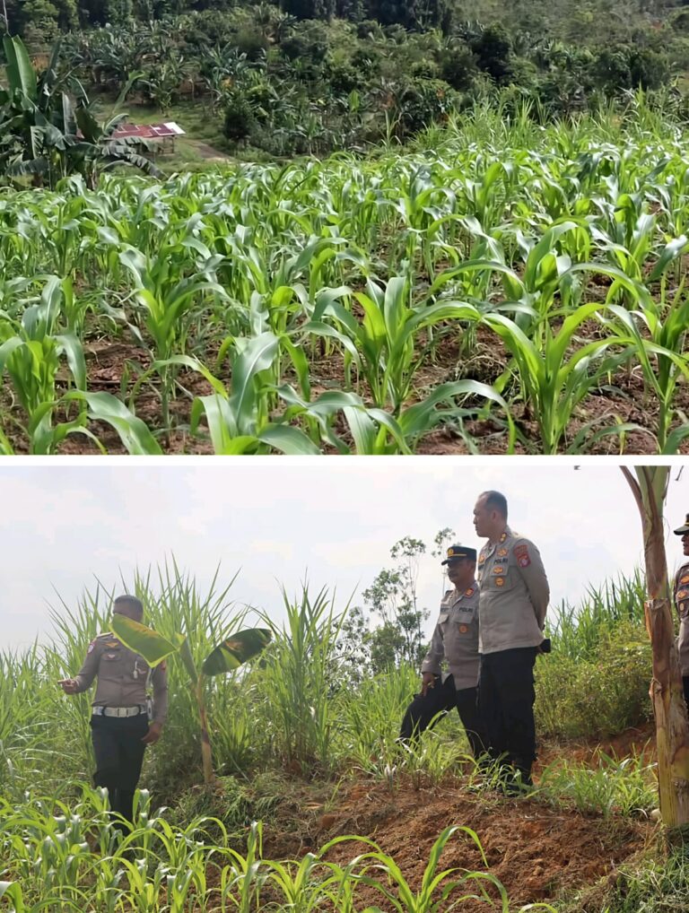 WhatsApp Image 2025-05-06 at 05.51.12