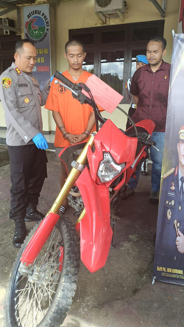 WhatsApp Image 2025-05-13 at 05.33.18