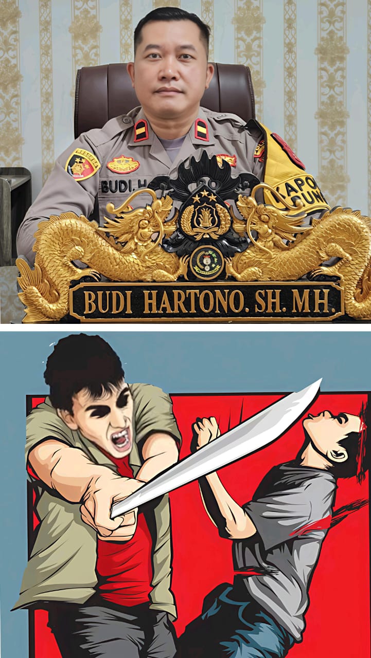 WhatsApp Image 2025-05-17 at 05.08.55