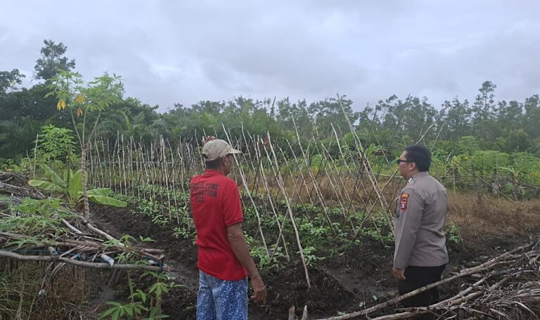 WhatsApp Image 2025-05-24 at 00.10.24