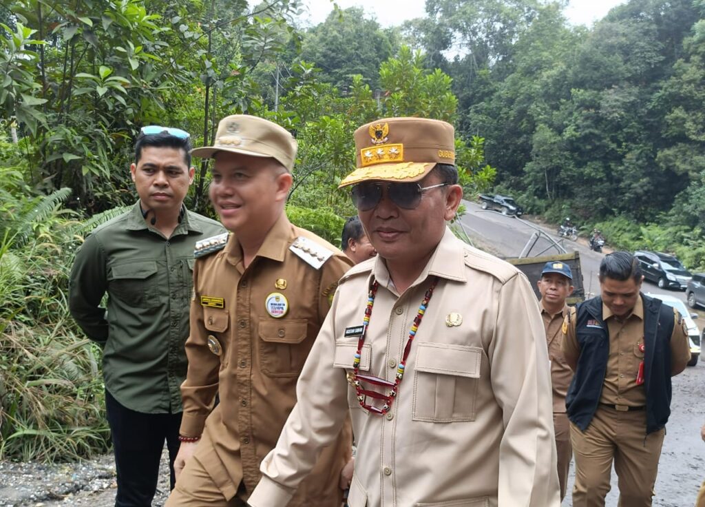 WhatsApp Image 2025-05-28 at 05.59.01