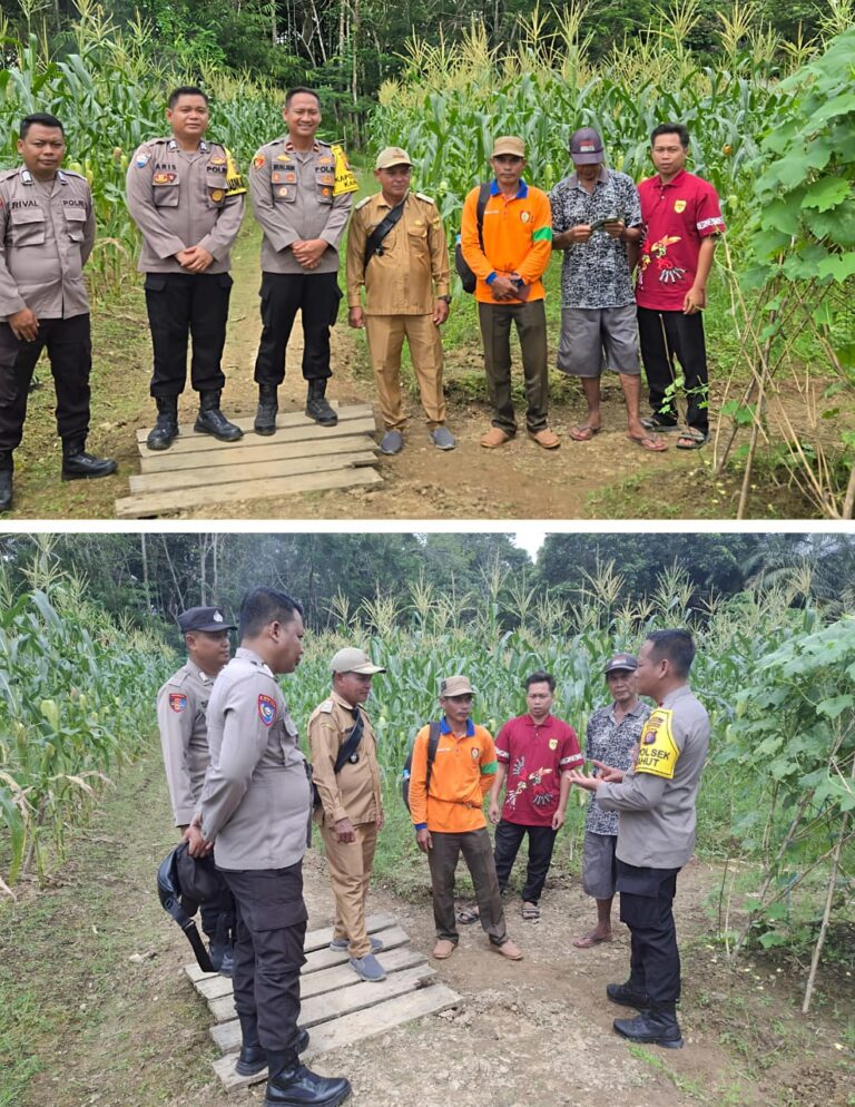 WhatsApp Image 2025-06-03 at 00.31.26