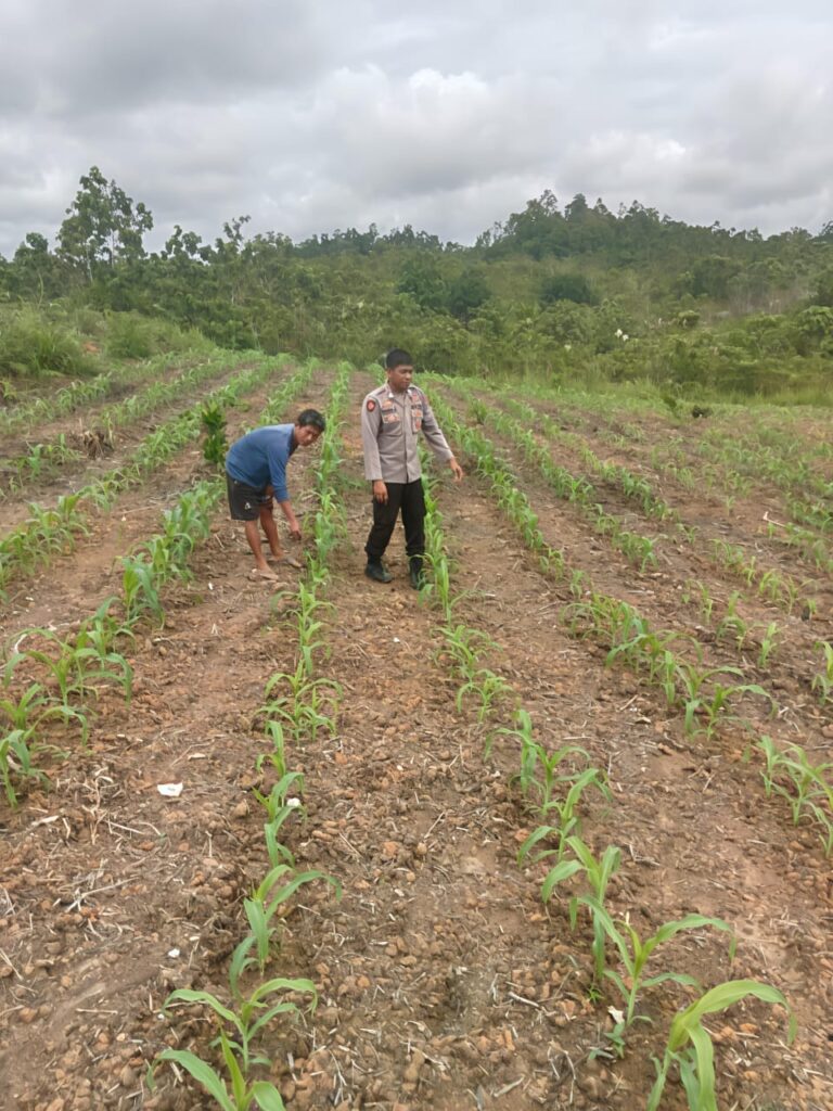 WhatsApp Image 2025-06-03 at 03.32.24