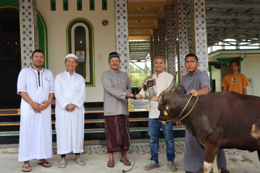 WhatsApp Image 2025-06-06 at 03.35.22