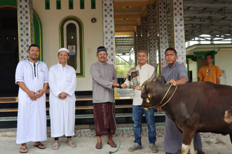 WhatsApp Image 2025-06-06 at 03.35.22