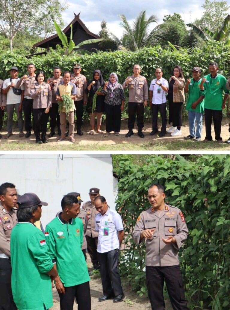 WhatsApp Image 2025-06-07 at 06.46.49