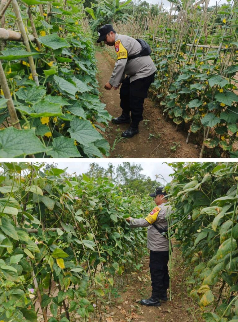 WhatsApp Image 2025-06-08 at 23.00.06