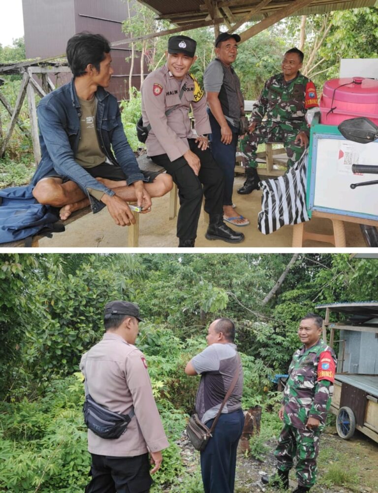 WhatsApp Image 2025-06-19 at 03.29.39