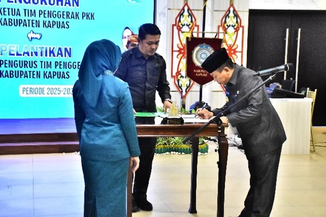 WhatsApp Image 2025-06-29 at 00.24.25