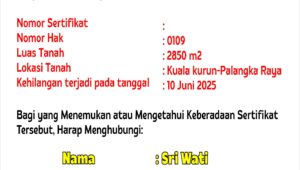 WhatsApp Image 2025-06-29 at 18.42.18_c81ff39b