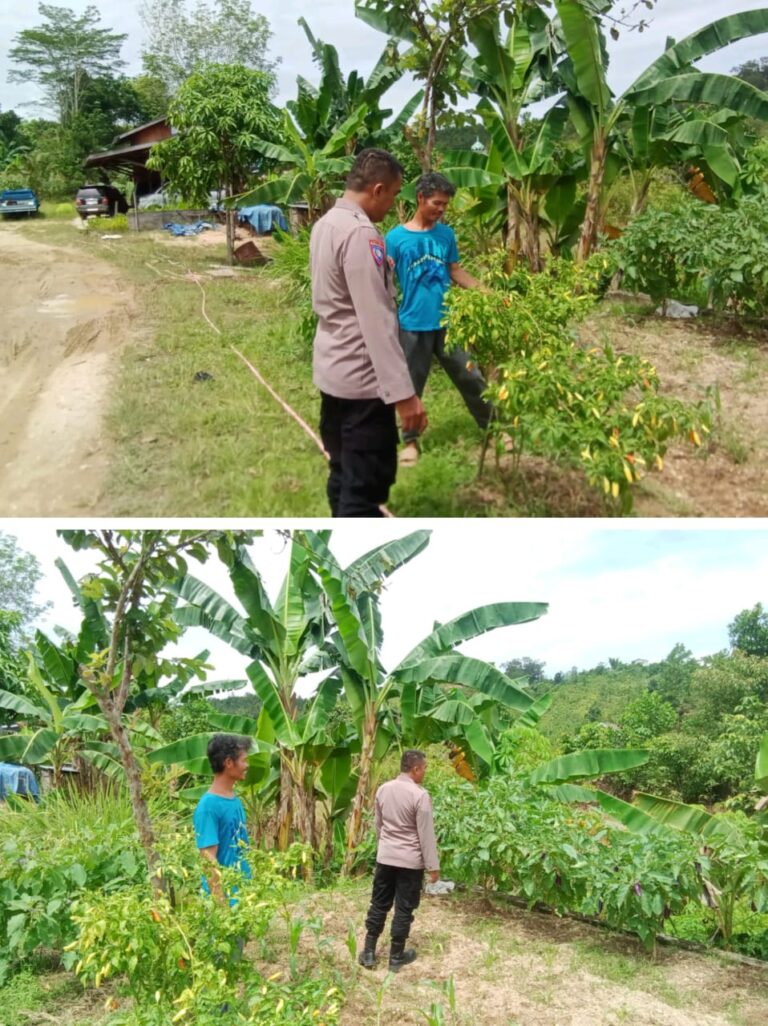 WhatsApp Image 2025-07-01 at 23.41.13