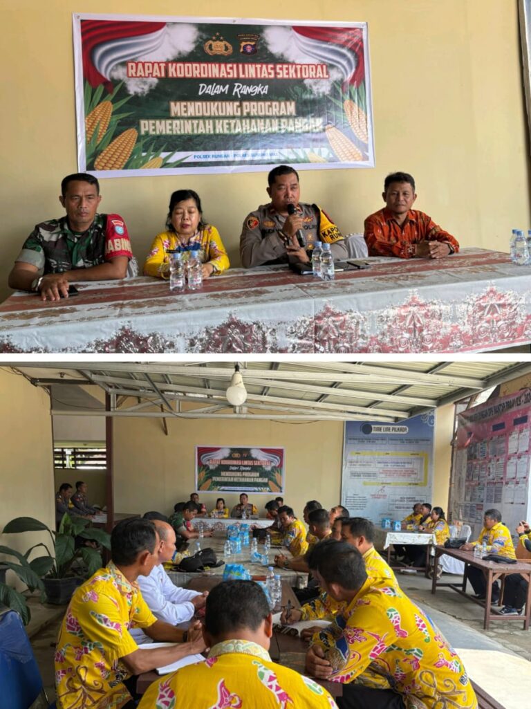 WhatsApp Image 2025-07-03 at 23.58.16