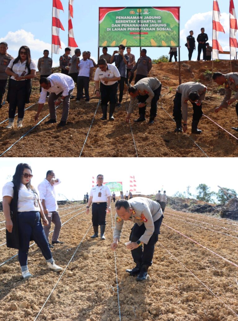 WhatsApp Image 2025-07-09 at 07.21.19