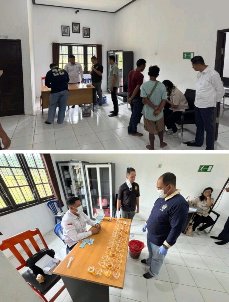 WhatsApp Image 2025-07-15 at 03.43.43