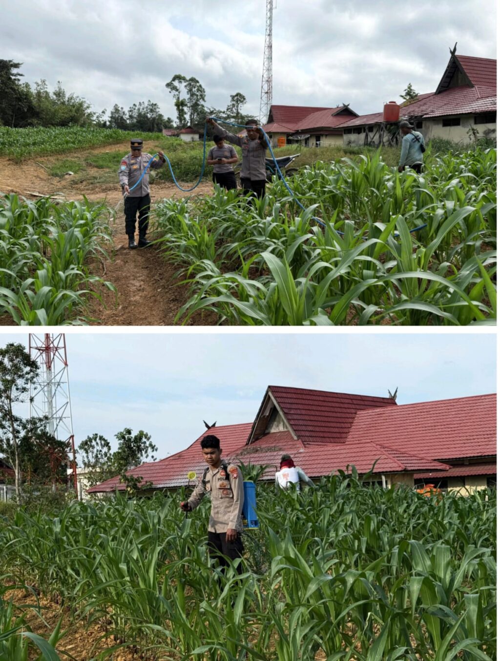 WhatsApp Image 2025-08-01 at 01.12.37