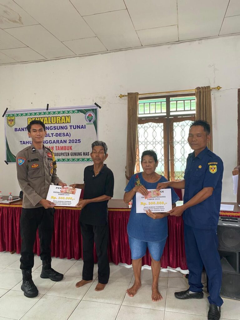 WhatsApp Image 2025-08-04 at 00.05.53