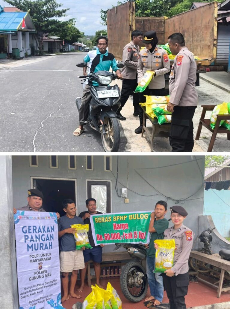 WhatsApp Image 2025-08-19 at 23.37.17