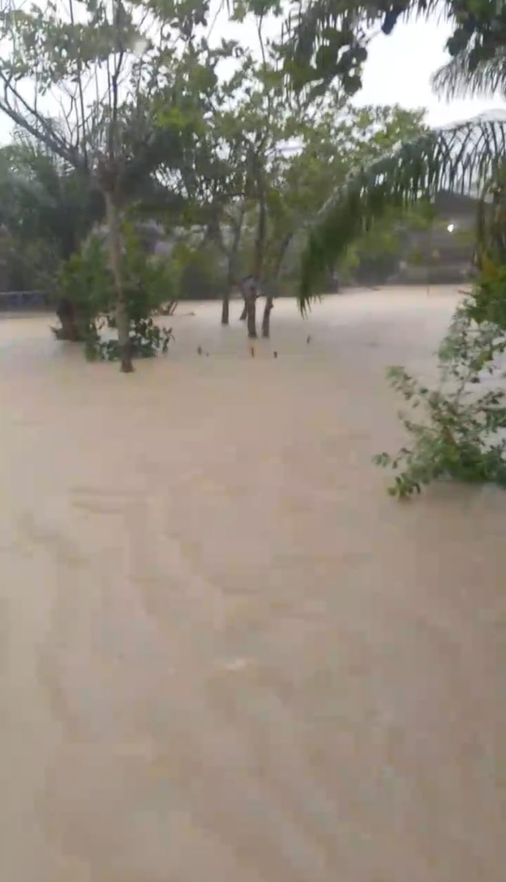 WhatsApp Image 2025-08-20 at 08.15.36