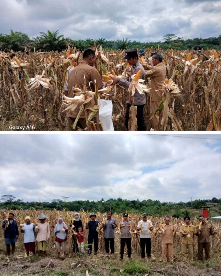 WhatsApp Image 2025-09-03 at 00.10.57