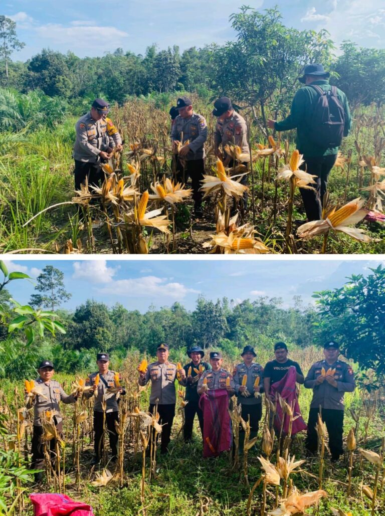 WhatsApp Image 2025-09-05 at 00.20.29