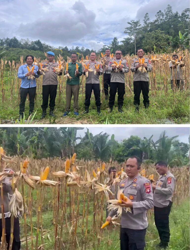 WhatsApp Image 2025-09-10 at 06.52.23