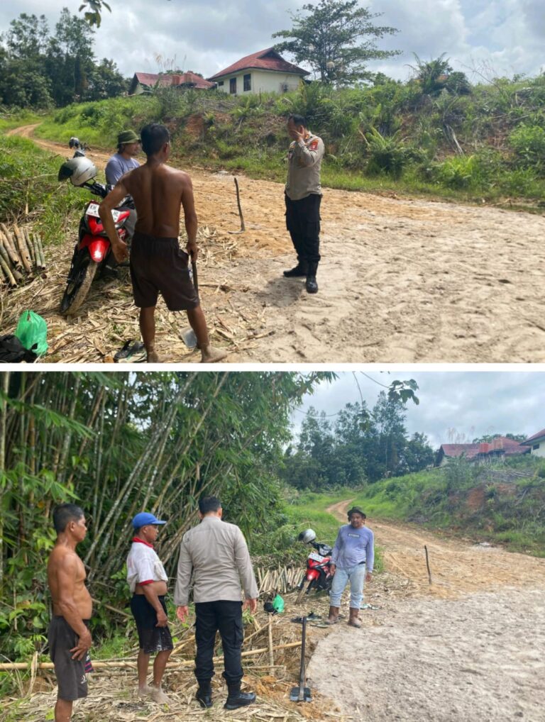 WhatsApp Image 2025-09-16 at 01.36.15