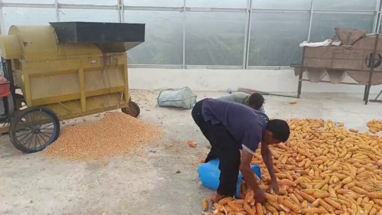 WhatsApp Image 2025-10-03 at 02.28.01