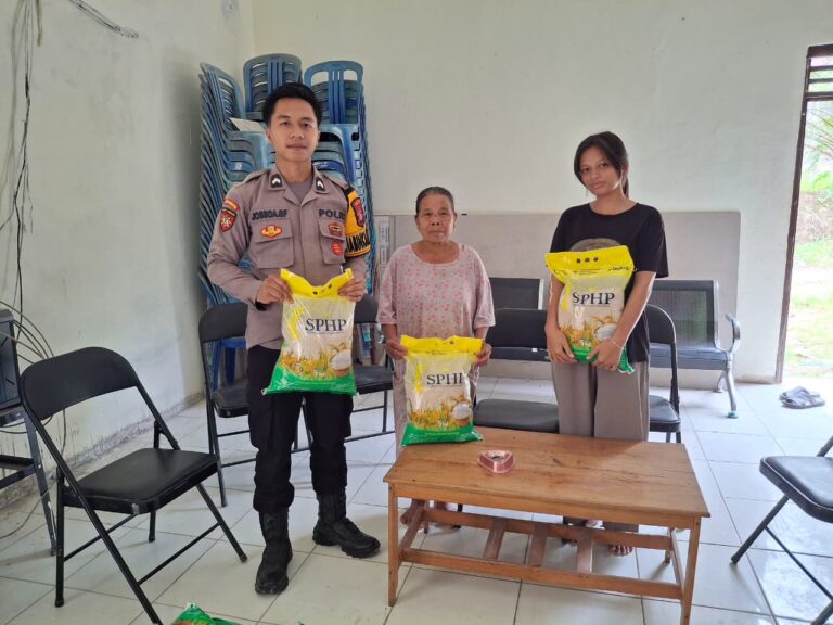 WhatsApp Image 2025-11-11 at 07.52.52