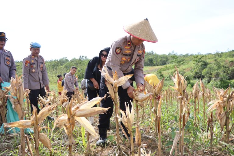 WhatsApp Image 2025-11-14 at 04.48.16