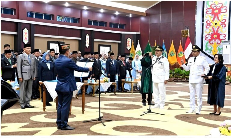 WhatsApp Image 2025-11-24 at 17.38.45