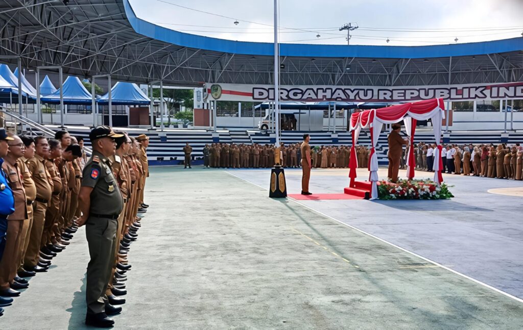 WhatsApp Image 2025-11-28 at 00.14.17