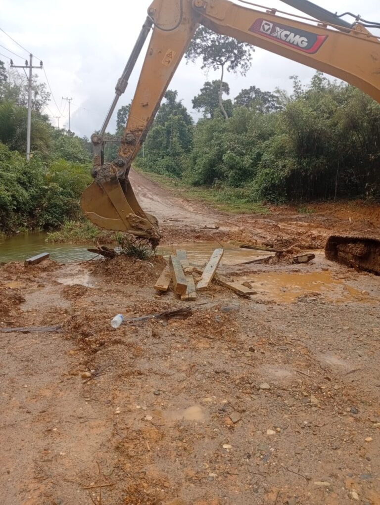 WhatsApp Image 2025-11-29 at 20.15.04