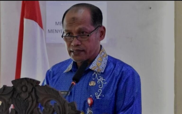 WhatsApp Image 2026-03-27 at 03.14.48