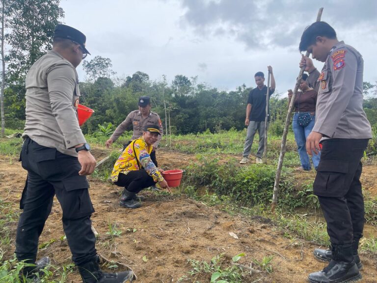 WhatsApp Image 2026-04-04 at 00.28.59