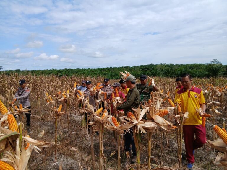 WhatsApp Image 2026-04-10 at 22.26.05