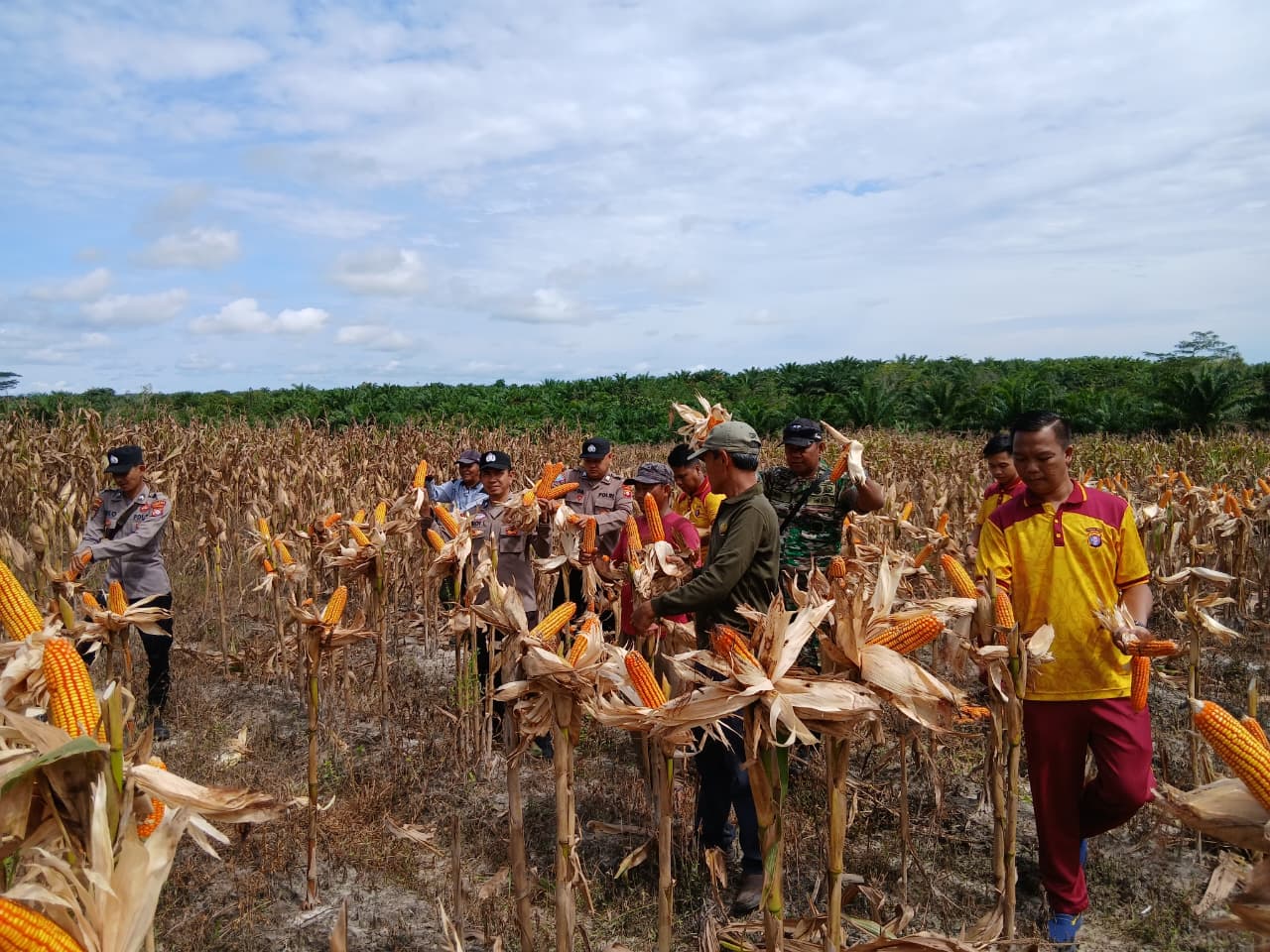 WhatsApp Image 2026-04-10 at 22.26.05