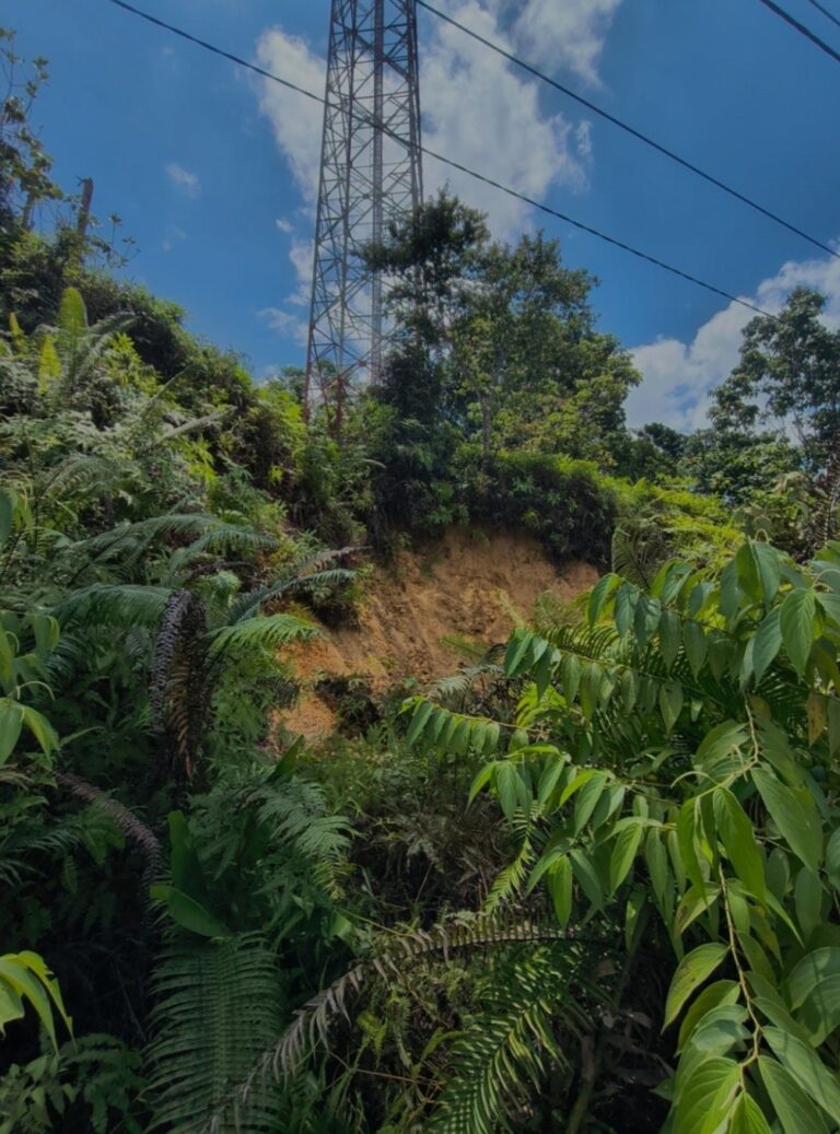 WhatsApp Image 2026-04-15 at 20.03.18