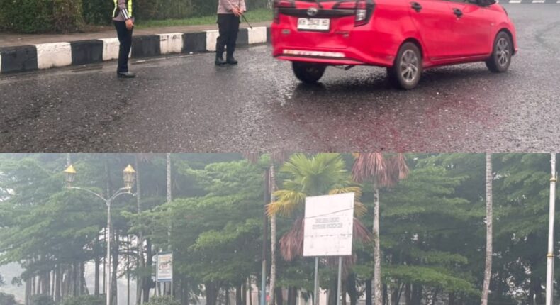 foto slider headline
